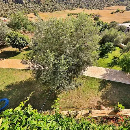 Calikusu Kalkan Каш